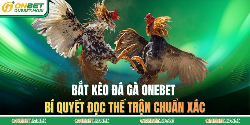 Bắt kèo đá gà ONEBET