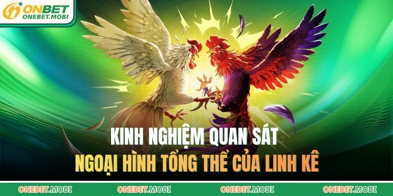 Kinh nghiệm quan sát ngoại hình tổng thể của linh kê