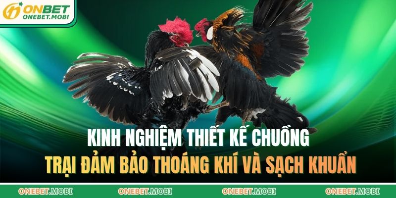 Kinh nghiệm thiết kế chuồng trại đảm bảo thoáng khí và sạch khuẩn