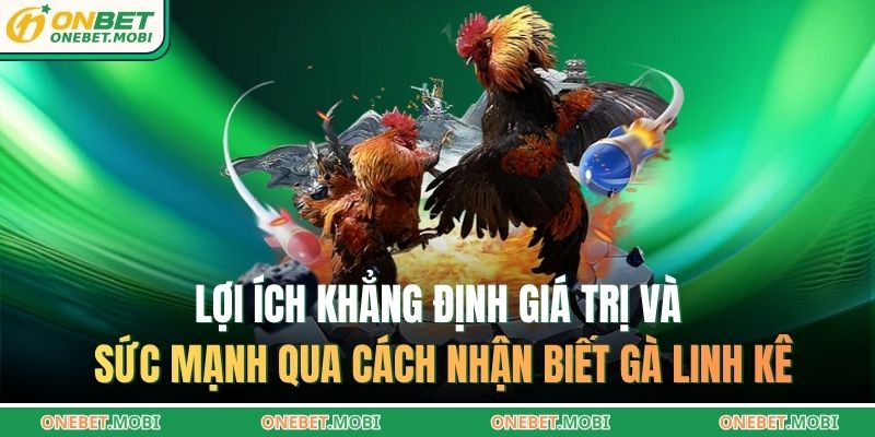 Lợi ích khẳng định giá trị và sức mạnh qua cách nhận biết gà linh kê