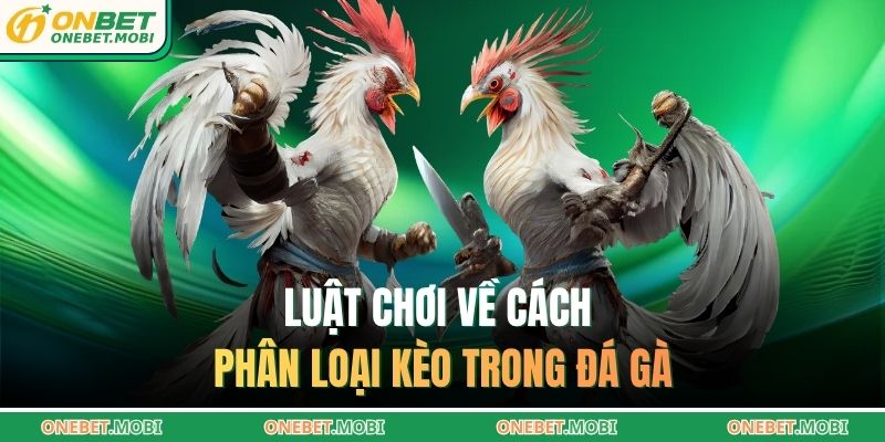 Luật chơi về cách phân loại kèo trong đá gà