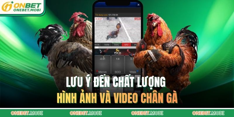 Lưu ý đến chất lượng hình ảnh và video chân gà