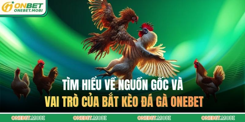 Tìm hiểu về nguồn gốc và vai trò của bắt kèo đá gà ONEBET